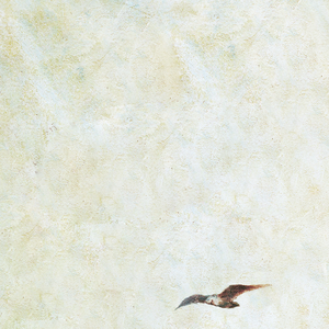 千朵桃花一世开电视剧免费观看
