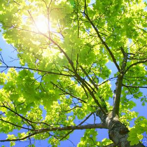 千朵桃花一世开电视剧免费观看
